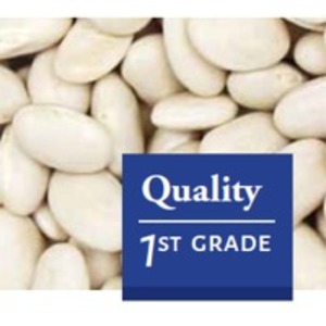 resources of Great Northern Beans exporters