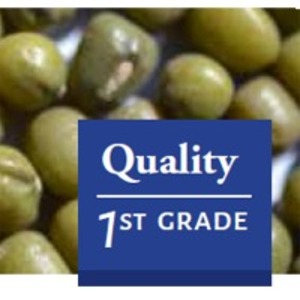 resources of Green Mung Beans exporters