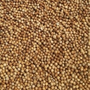 resources of Coriander Seeds exporters