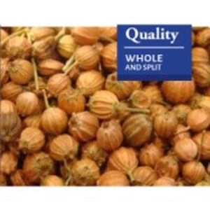 resources of Coriander Grain exporters