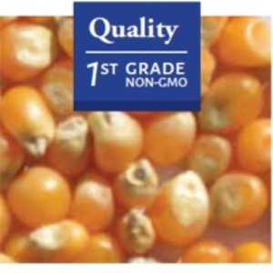 resources of Mushroom Popcorn exporters