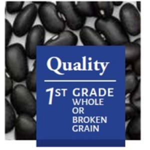 resources of Black Kidney Beans exporters