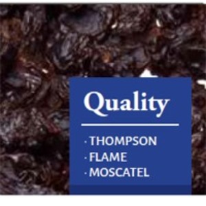 resources of Dark Raisins exporters