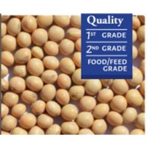 resources of Soybeans exporters