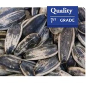 resources of Sunflower Seeds exporters