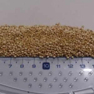 resources of Quinoa exporters