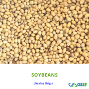 resources of Soybeans exporters