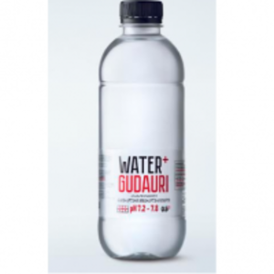 resources of Water Gudauri 500Ml exporters