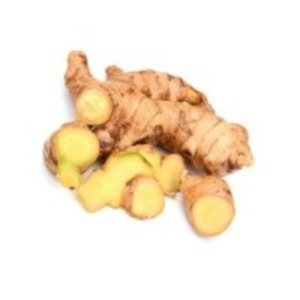 resources of Organic Ginger exporters