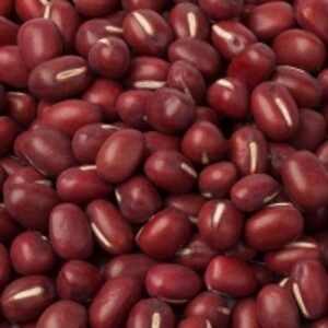 resources of Red Kidney Beans exporters
