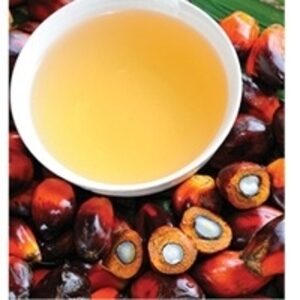 resources of Palm Oil exporters