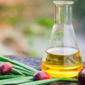 resources of Refined Palm Oil exporters