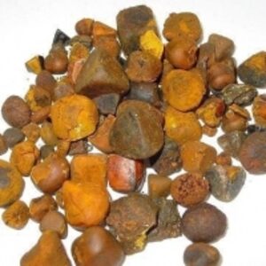 resources of Cow Gallstones exporters