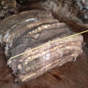 resources of Wet Salted Sheep Skin exporters