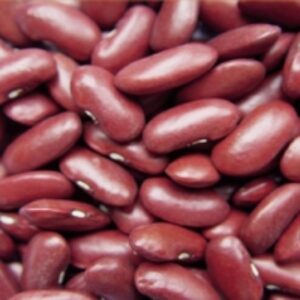 resources of Quality Red Kidney Beans exporters