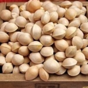 resources of Ginkgo Nuts exporters