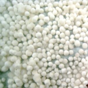 resources of Quality Tapioca Pearl exporters