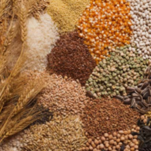 resources of Grain exporters