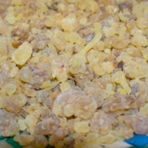 resources of Frankincense / Olibanum Resin (Boswellia Sp.) exporters