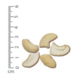 resources of Raw Cashew Kernel Lwp exporters