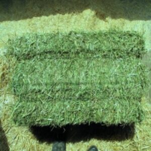 resources of End Year Sale For Alfalfa Bales exporters
