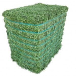 resources of Alfalfa Bales Non Gmo For Sale exporters