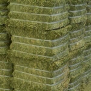 resources of Wholesale Lucerne Bales exporters