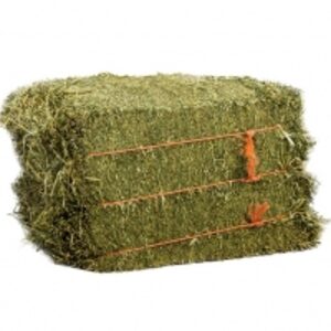 resources of Cheap Alfalfa For Sale exporters