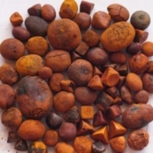 resources of Ox Gallstones exporters