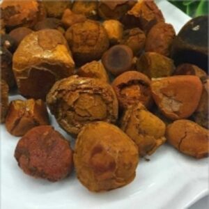 resources of Ox Gallstones exporters