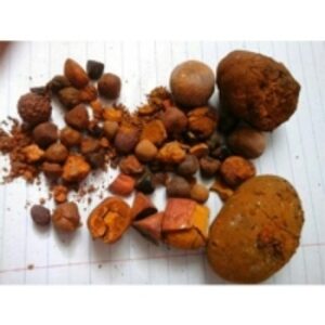 resources of Best Herb Medicine Natural Cow Gallstones exporters