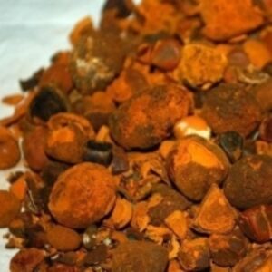 resources of Natural Pure Bovine Gallstones exporters