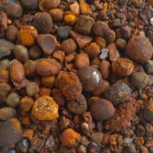 resources of Ox Gallstones exporters