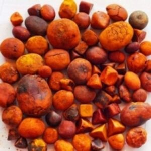 resources of Cattle Gallstones Ox exporters