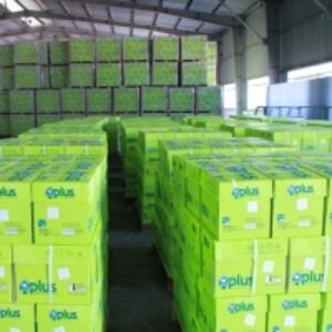 resources of White A4 Copy Paper 70Gsm ,75Gsm 80Gsm exporters