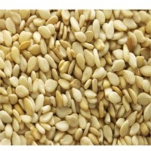 resources of Sesame Seeds exporters
