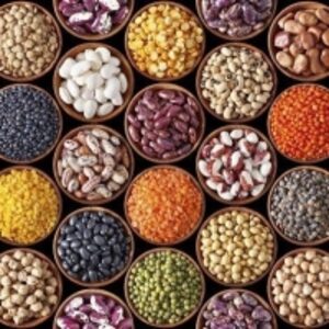 resources of Pulses exporters