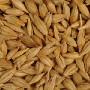 resources of Barley exporters