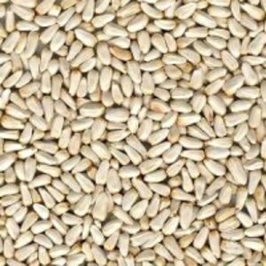 resources of Safflor exporters