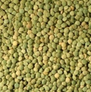 resources of Green Lentils exporters