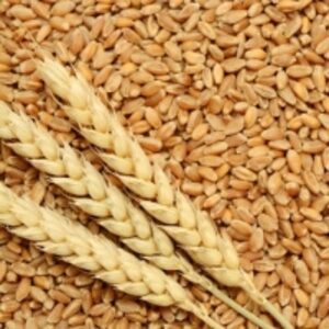 resources of Wheat exporters