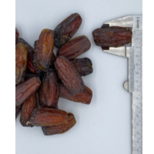 resources of Mabroom DatesÃ¢Â Grade 1 exporters