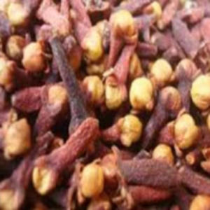 resources of Dried Spices Clove exporters