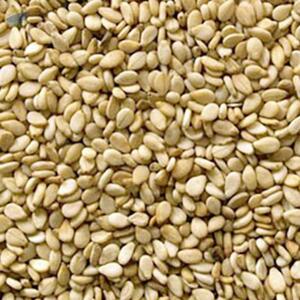 resources of Sesame Seeds exporters