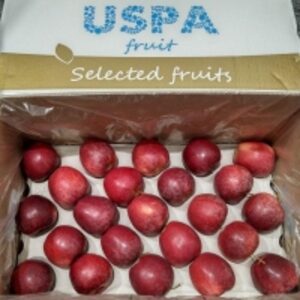 resources of Apples exporters