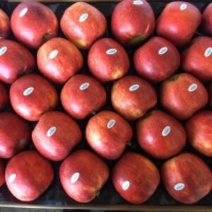 resources of Jonagored Apple Origin Ukraine exporters
