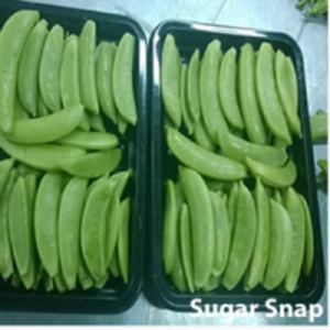 resources of Sugar Snap exporters