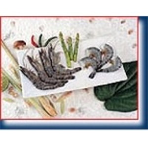 resources of Penaeus Monodon exporters