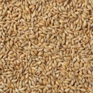 resources of Barley exporters