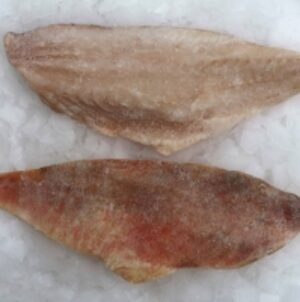 resources of Golden Redfish Fillet exporters